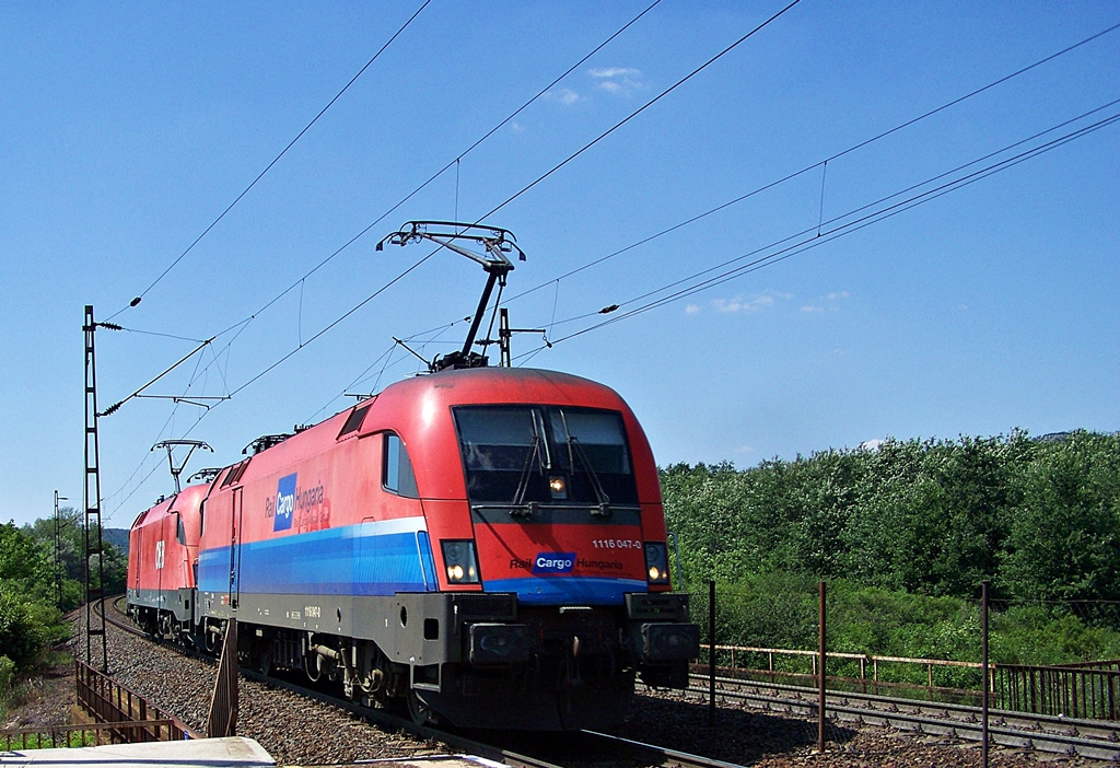 1116 047 - 0 + 1116 026 - 5 Szár (2012.06.18).