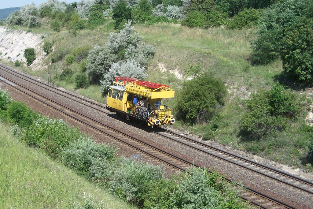 DMm - 3666 Szár (2012.06.18).