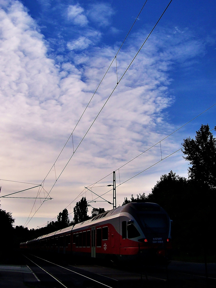 5341 009 Tata - Tóvároskert (2012.07.09)