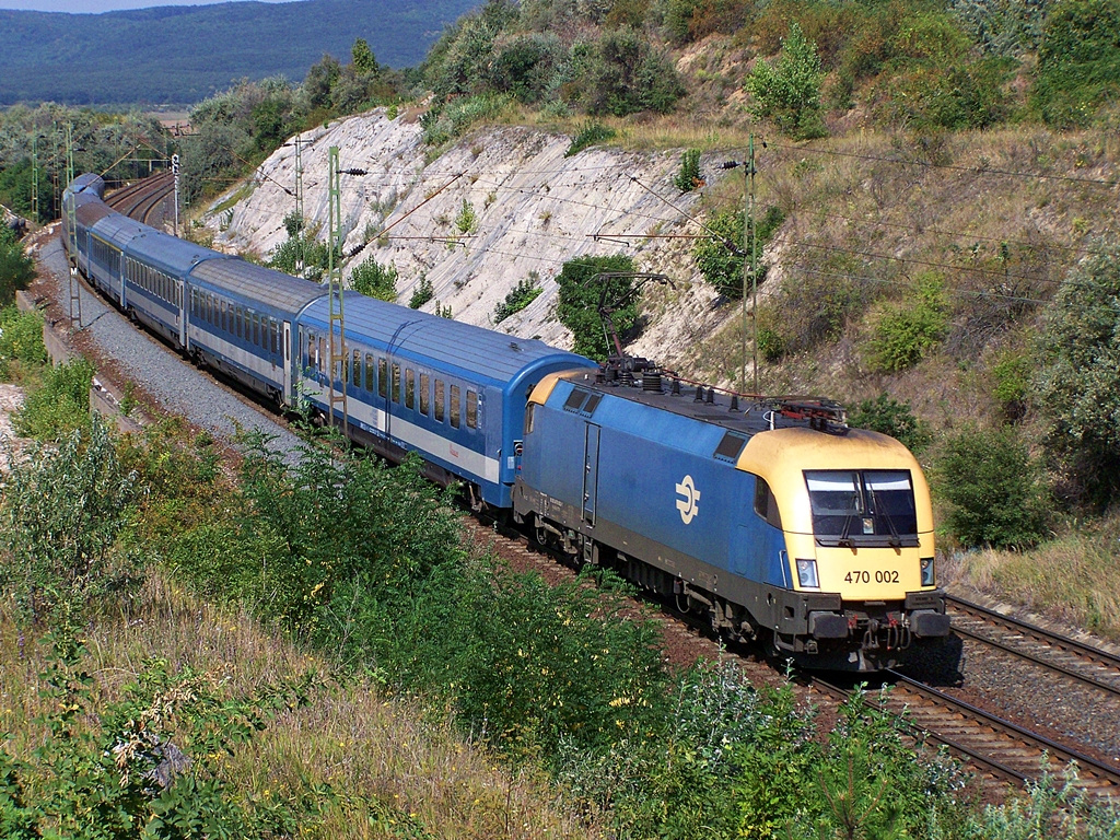 470 002 Szár (2012.08.24).