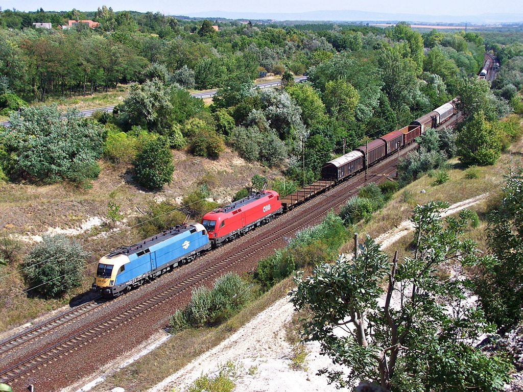 470 009 Szár (2012.08.24).