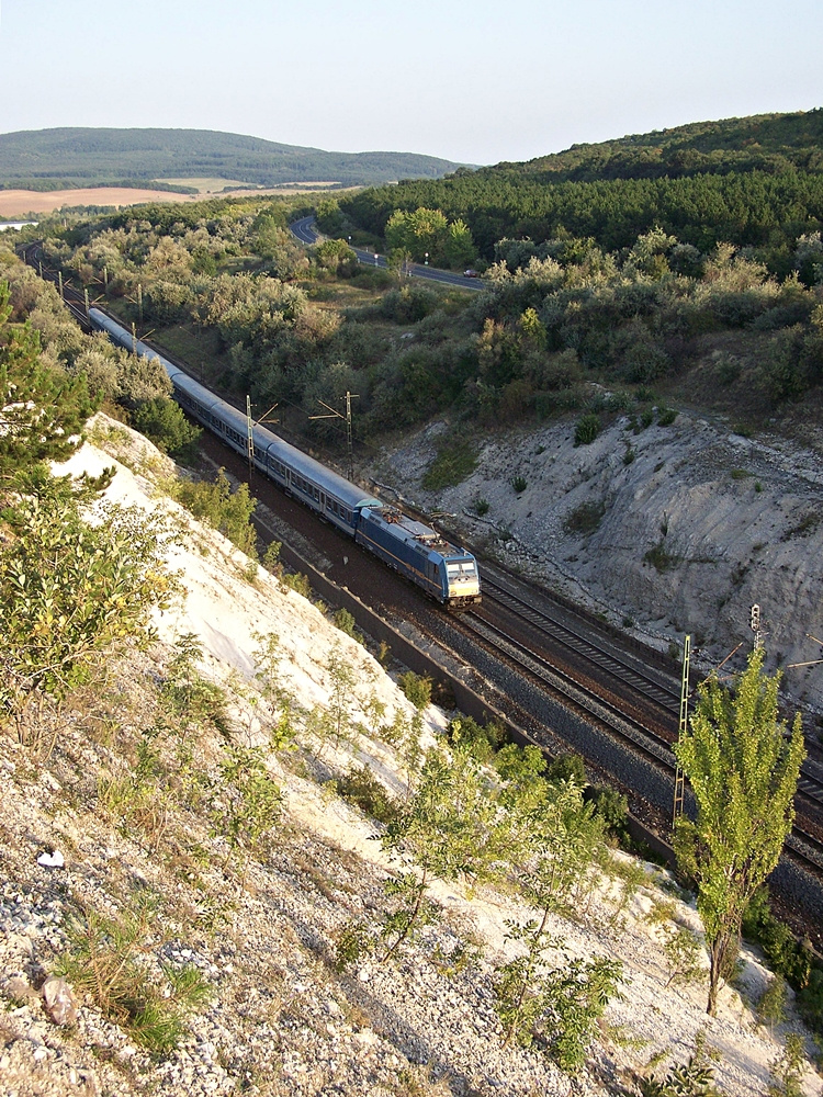 480 006 Szár (2012.08.24).