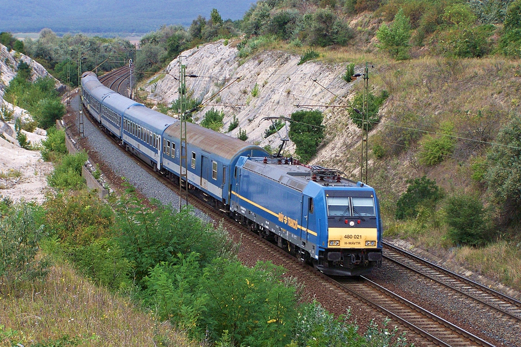 480 021 Szár (2012.08.23).