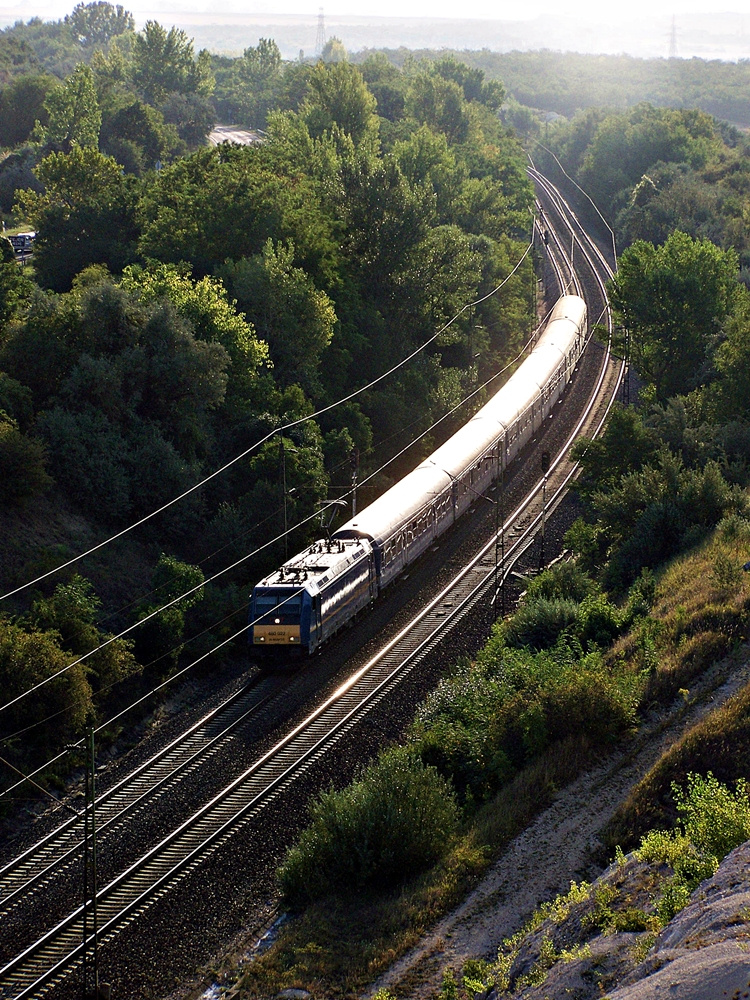 480 022 Szár (2012.08.24).