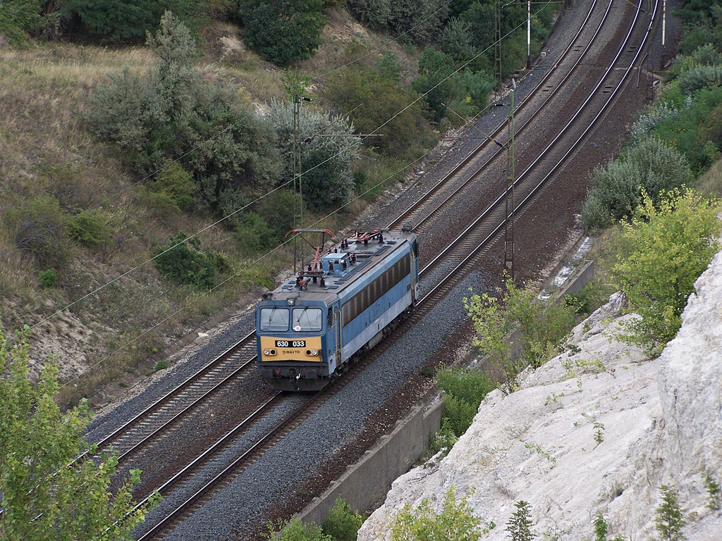 630 033 Szár (2012.08.23).02