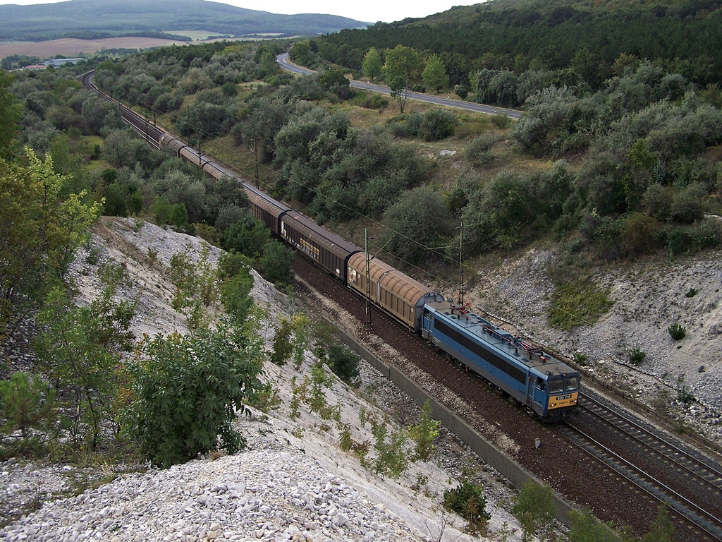 630 016 Szár (2012.08.23).