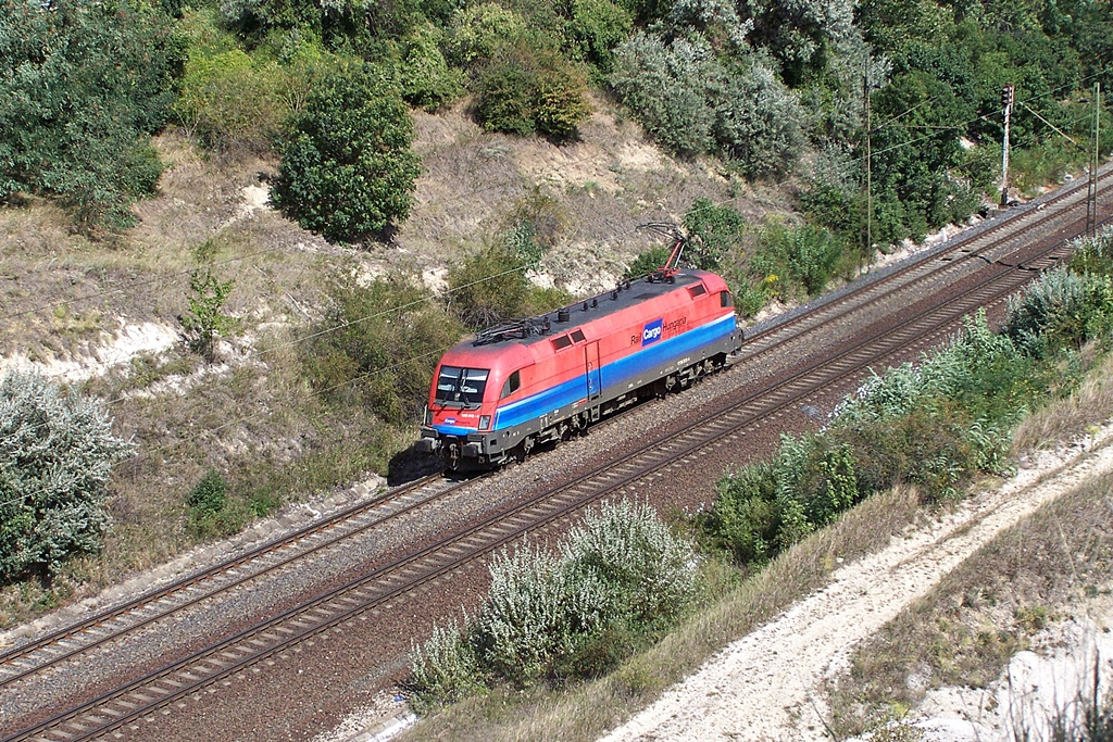 1116 012 Szár (2012.08.24).