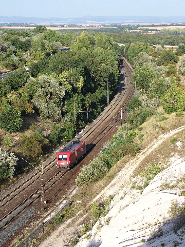 1116 016 Szár (2012.08.23).02