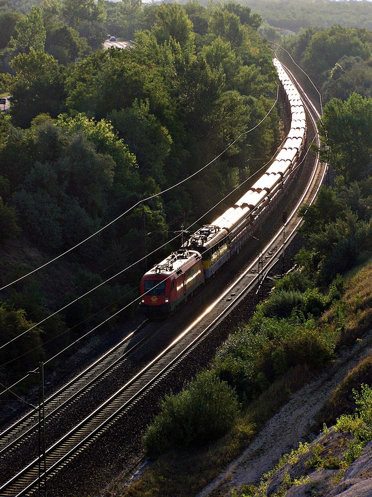 1116 059 Szár (2012.08.24).