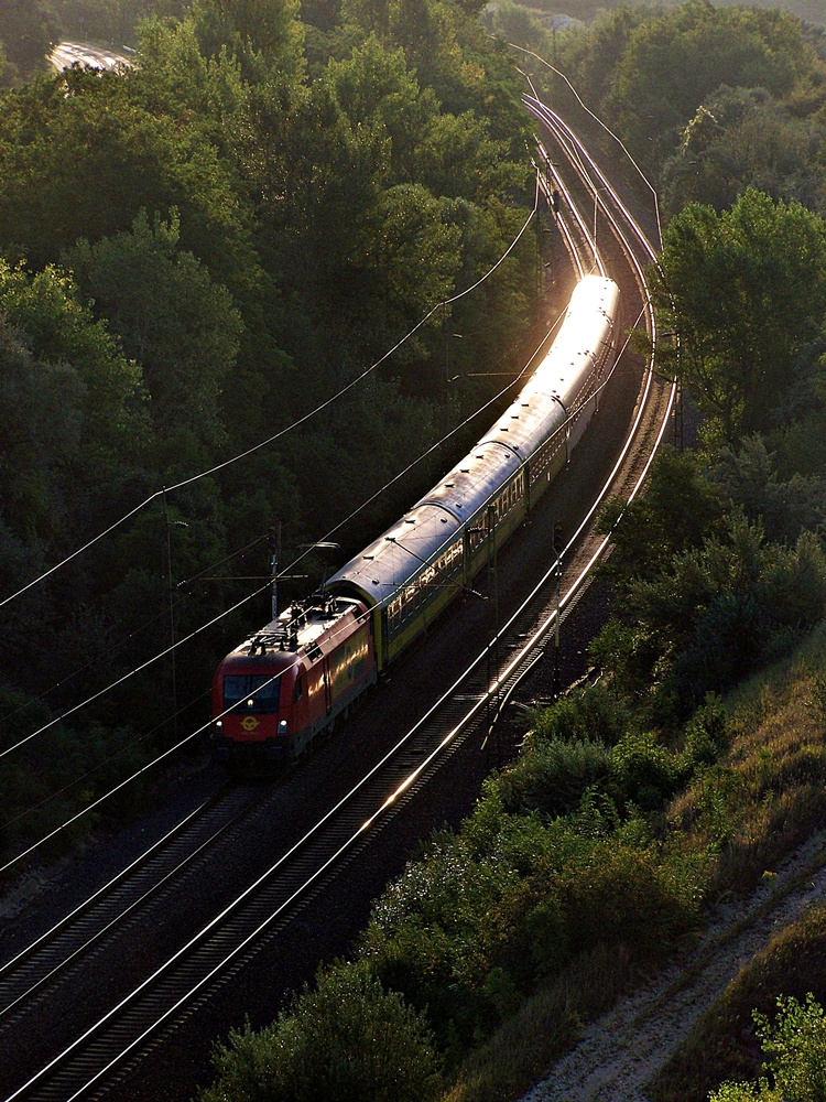 1116 065 Szár (2012.08.24).