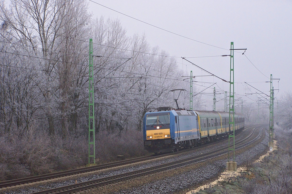 480 025 Törökbálint (2012.12.22)01.