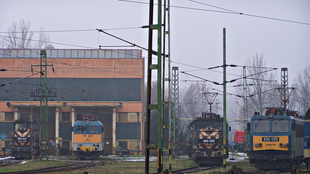 Dombóvár (2013.01.15).