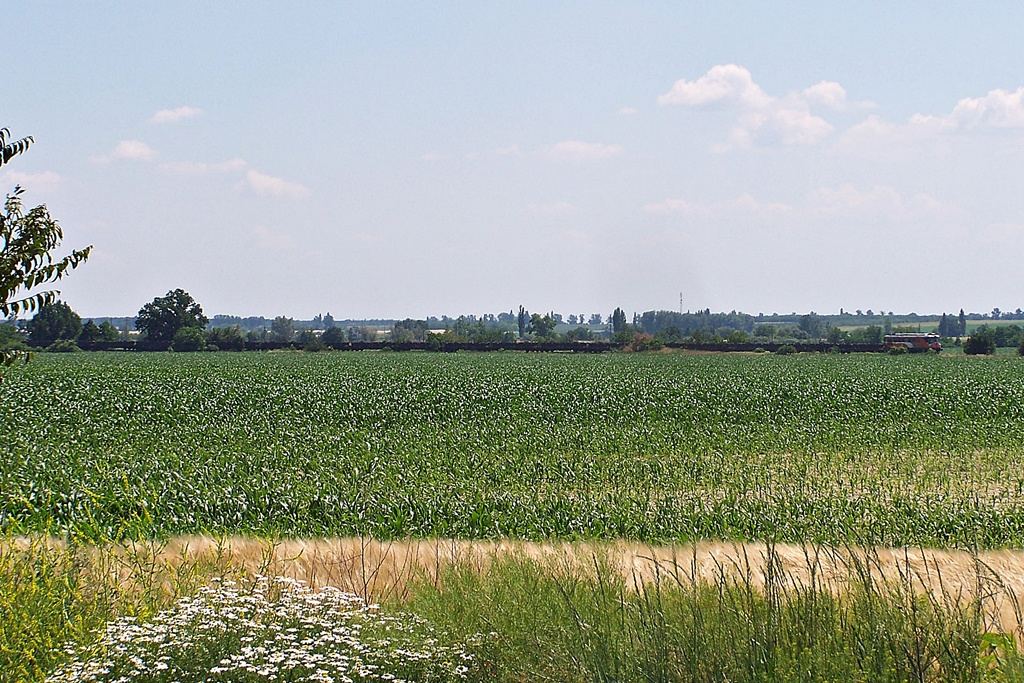 609 006 Székesfehérvár (2013.06.15)