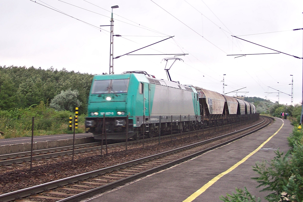 185 607 Szár (2013.08.10).