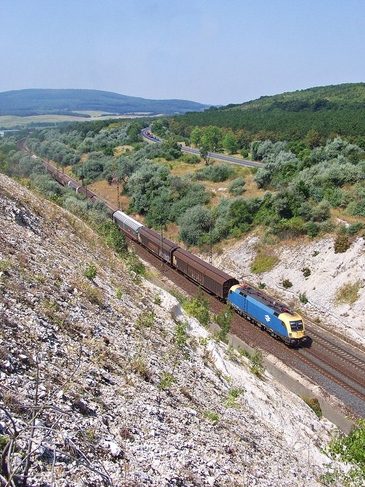 470 006 Szár (2013.08.09).