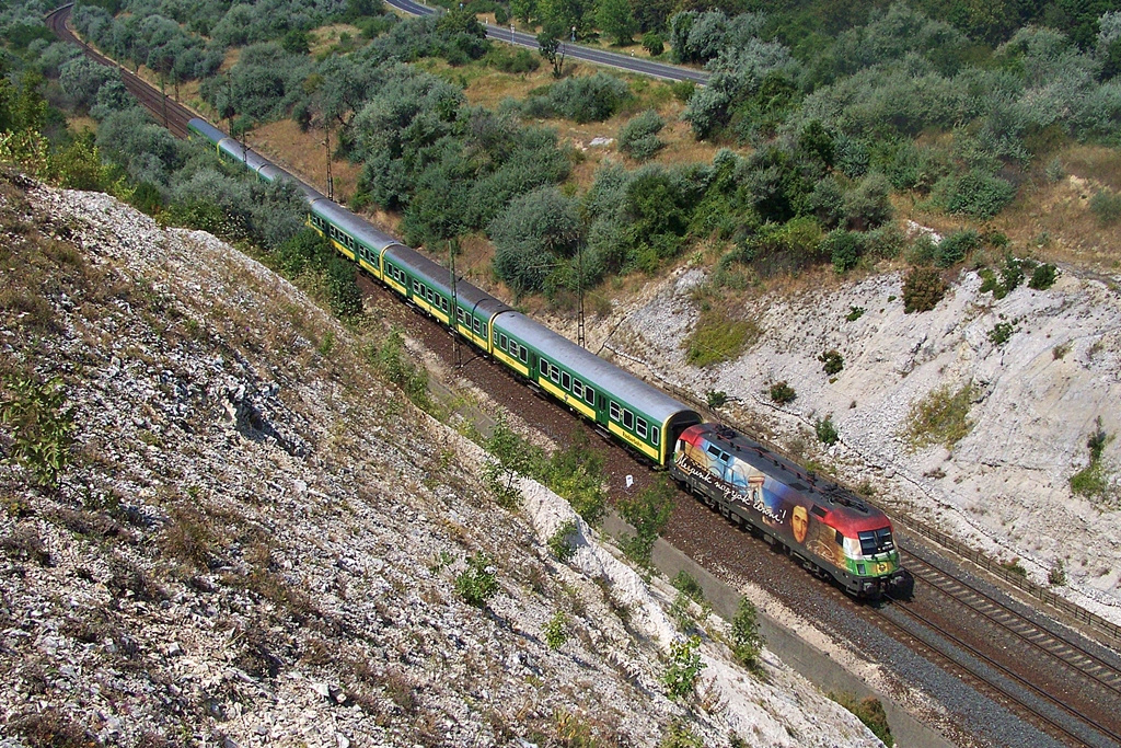 470 505 Szár (2013.08.09).