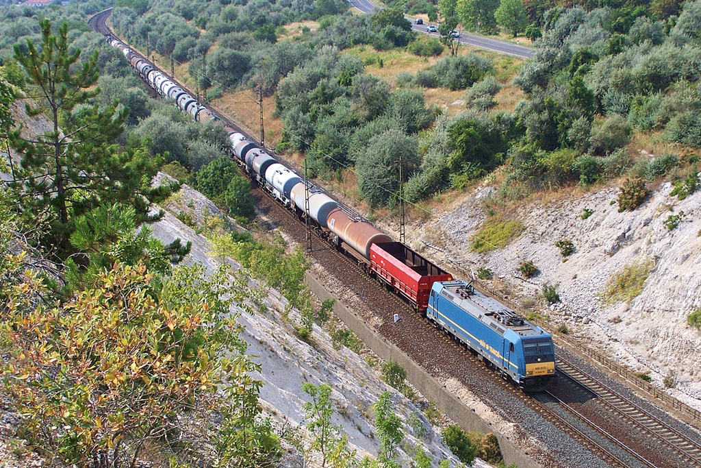 480 013 Szár (2013.08.09).