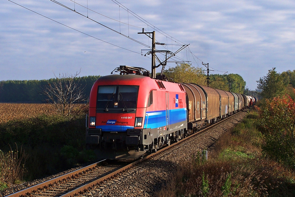 1116 047 Dombóvár (2013.10.19)01.