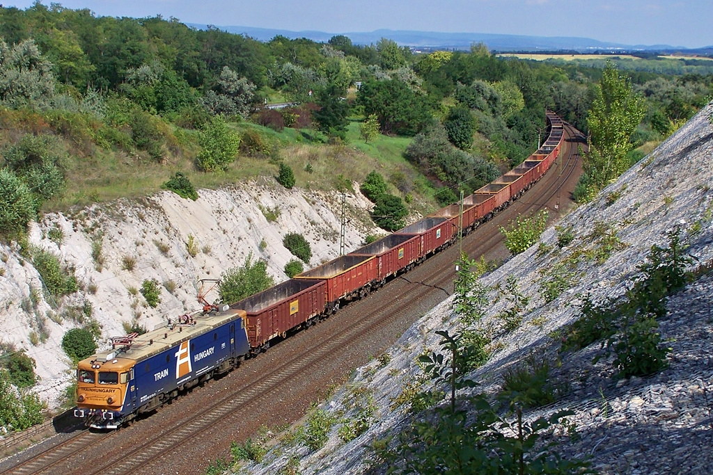 400 119 Szár (2014.08.22)