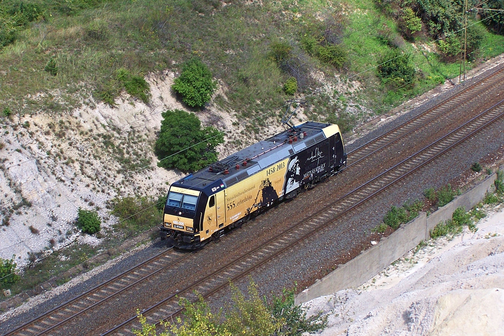 480 005 Szár (2014.08.22)02