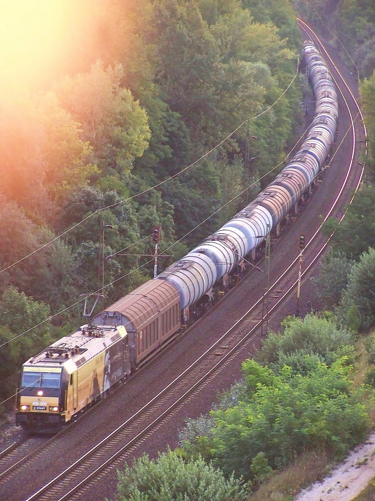 480 005 Szár (2014.08.23)