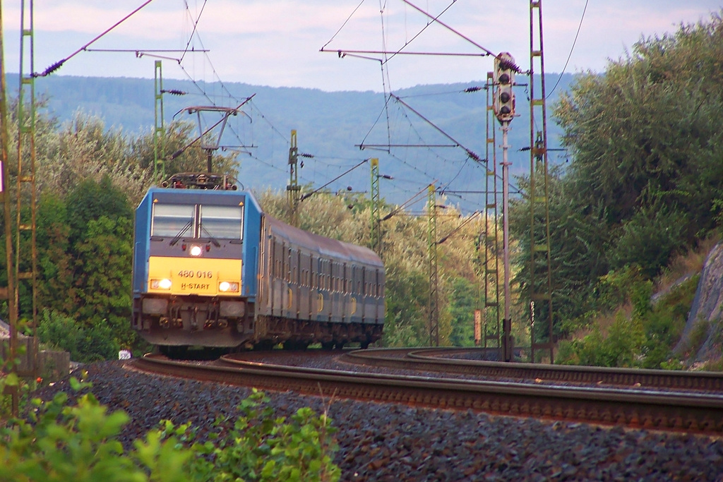 480 016 Szár (2014.08.22)