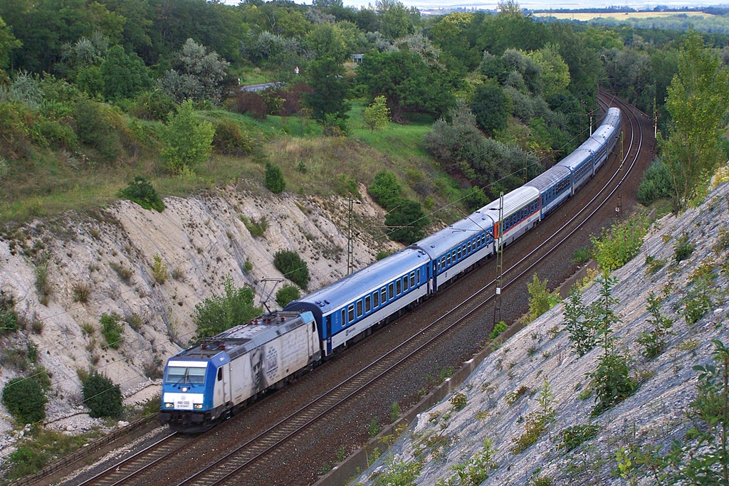 480 022 Szár (2014.08.22)