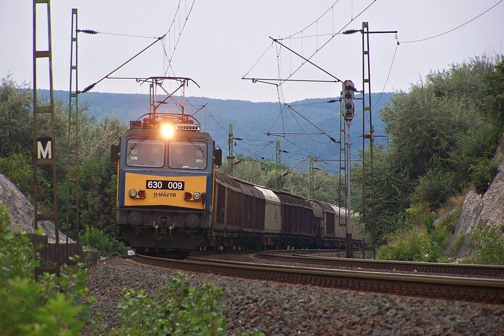 630 009 Szár (2014.08.23)01