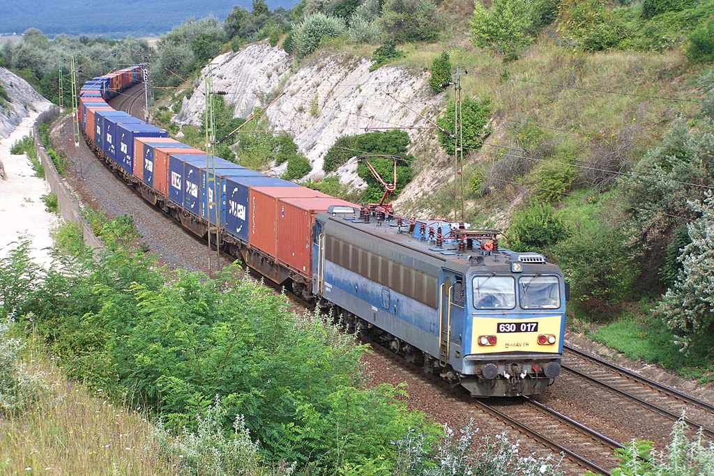 630 017 Szár (2014.08.22)01