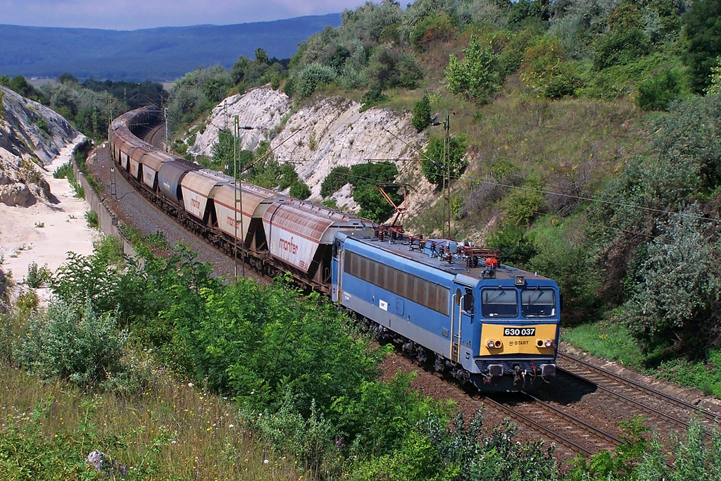 630 037 Szár (2014.08.21)