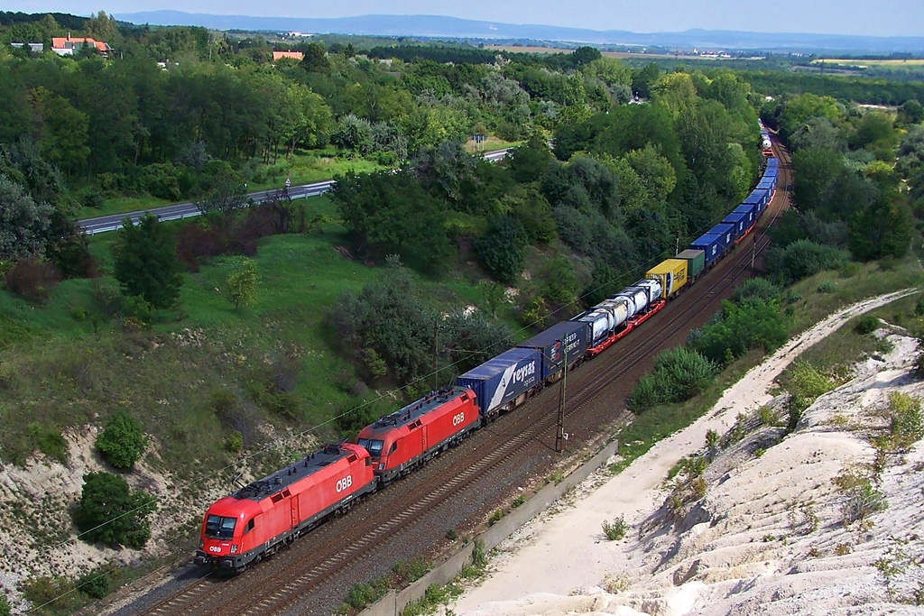 1116 001 Szár (2014.08.22)