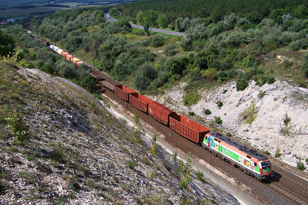 1116 007 Szár (2014.08.22)02