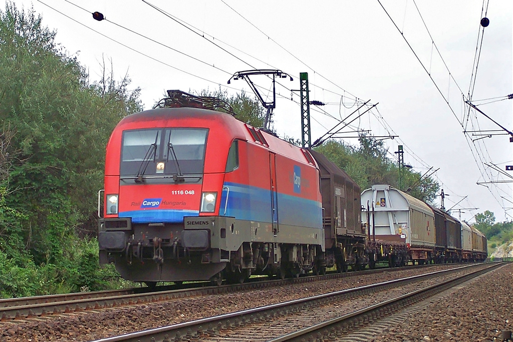 1116 048 Szár (2014.08.23)