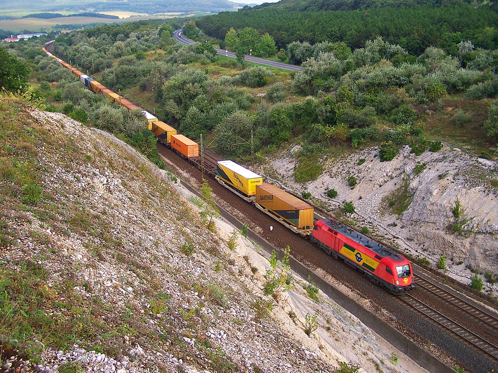 1116 064 Szár (2014.08.22)01