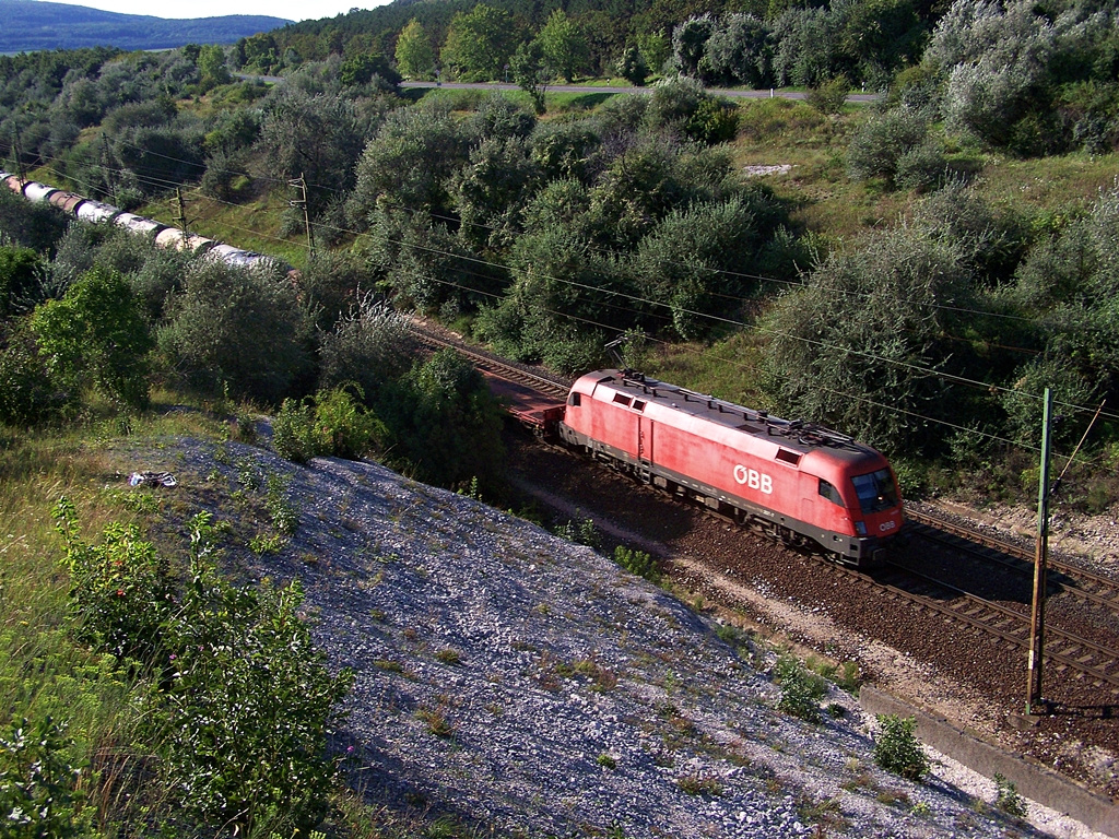 1116 257 Szár (2014.08.21)