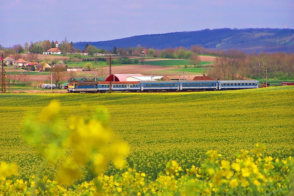 433 280 Regöly (2015.04.19)