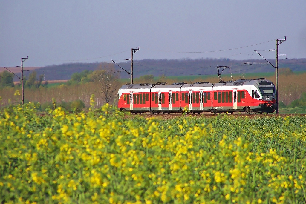 5341 018 Regöly (2015.04.19)02