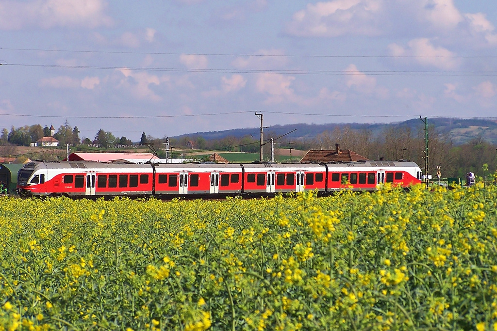 5341 018 Regöly (2015.04.19)04