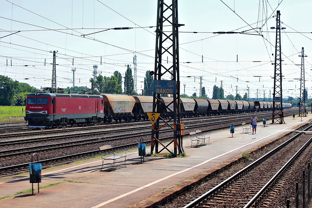 480 004 Rákos (2015.07.12).