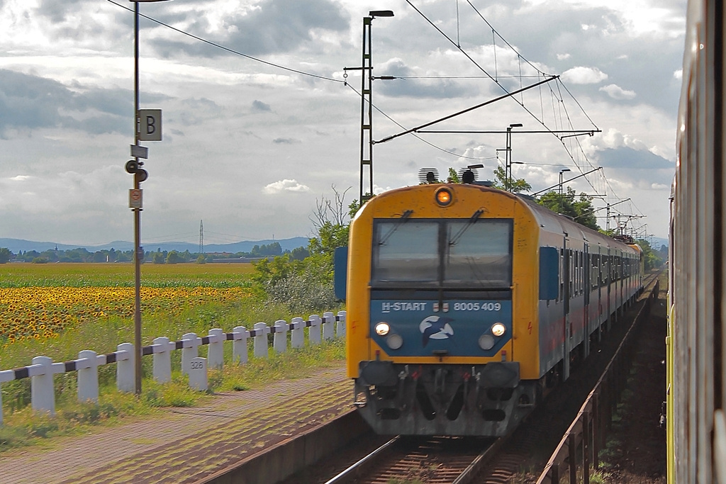 8005 409 Hosszúberek-Péteri (2015.07.14).