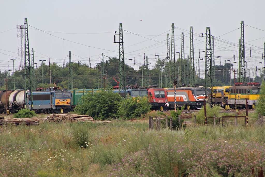 Szolnok (2015.07.16).