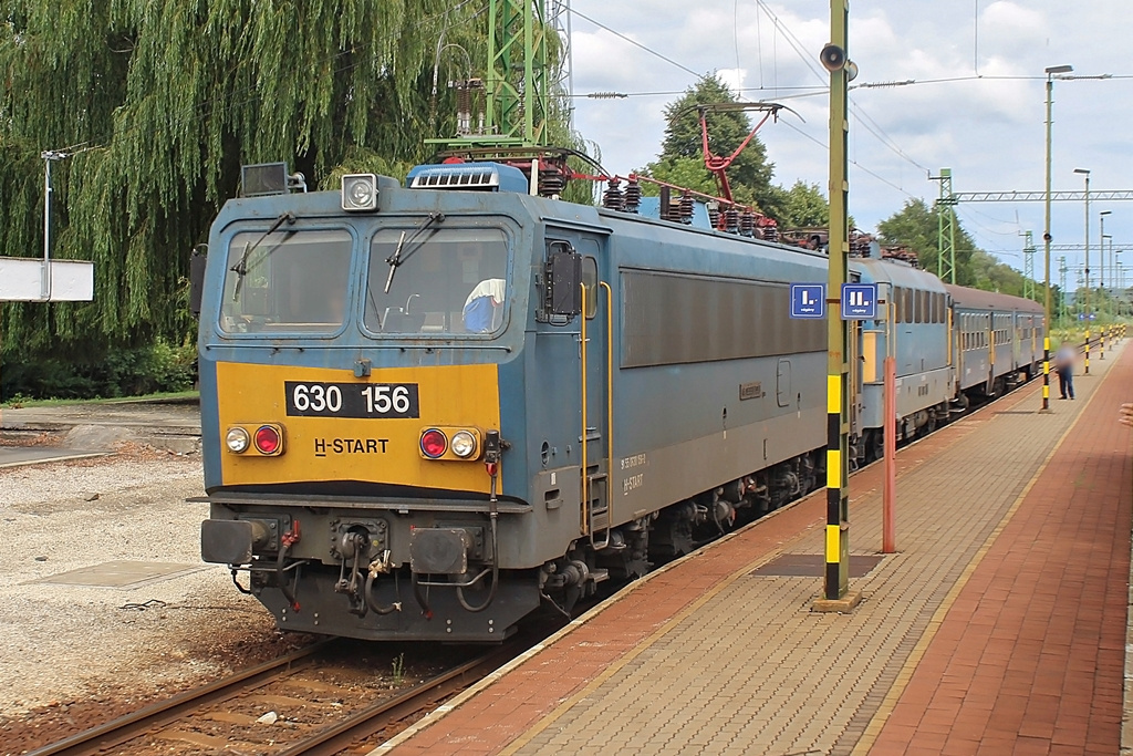 630 156 Pókaszepetk (2015.07.28).