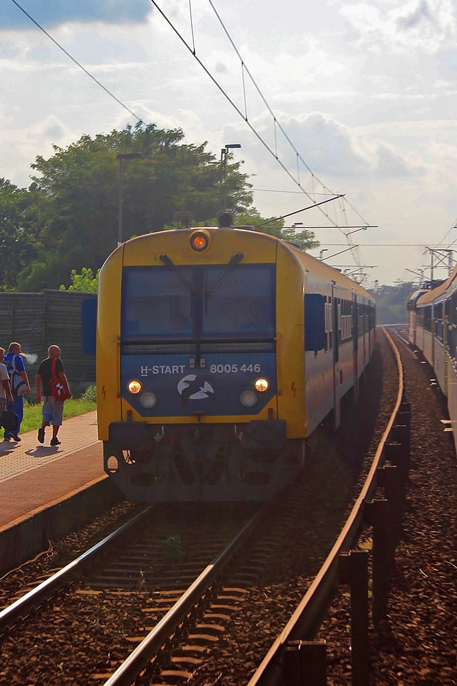 8005 446 Vecsés-Kertekalja (2015.08.03).