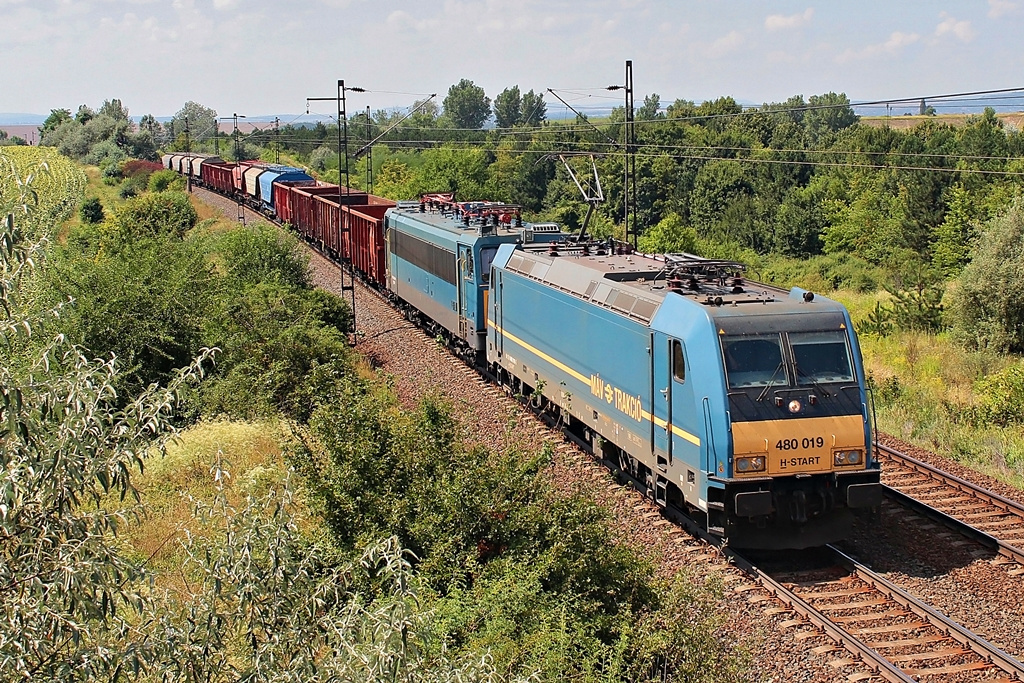 480 019 Biatorbágy (2015.08.04).01