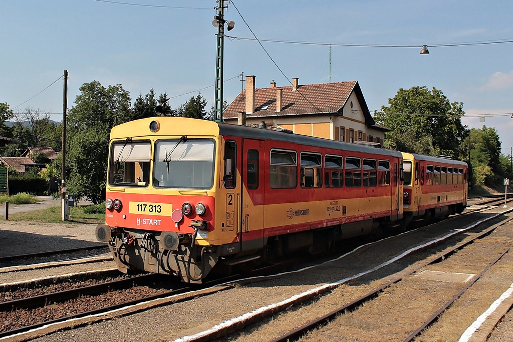 117 313 Diósjenő (2015.08.11).