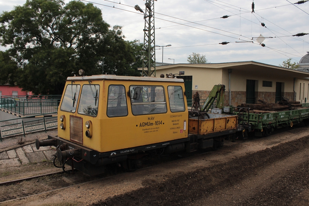 AGMUm - 1614 Gödöllő (2015.08.22).