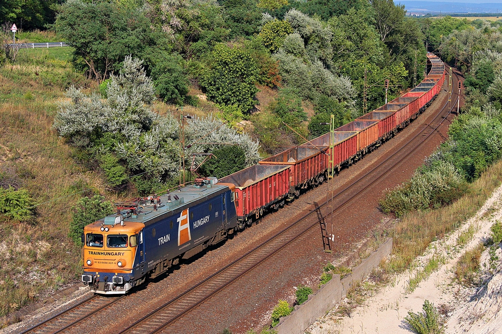 400 437 Szár (2015.08.25).