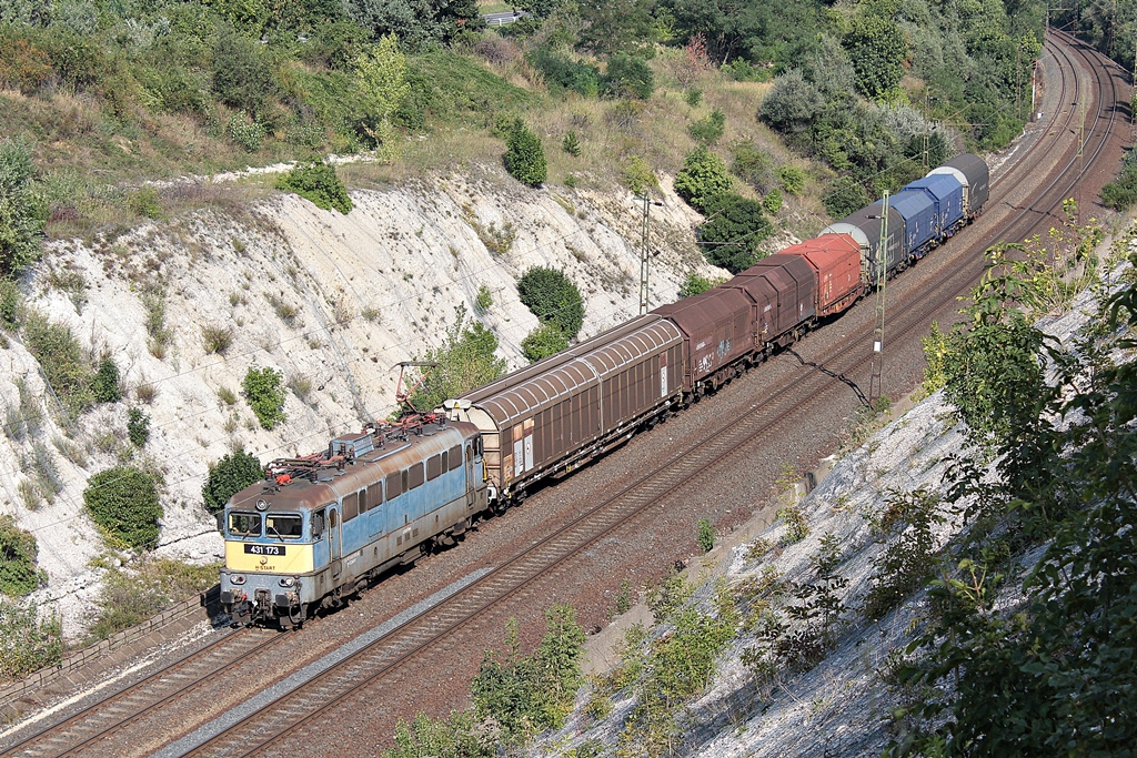 431 173 Szár (2015.08.24).02