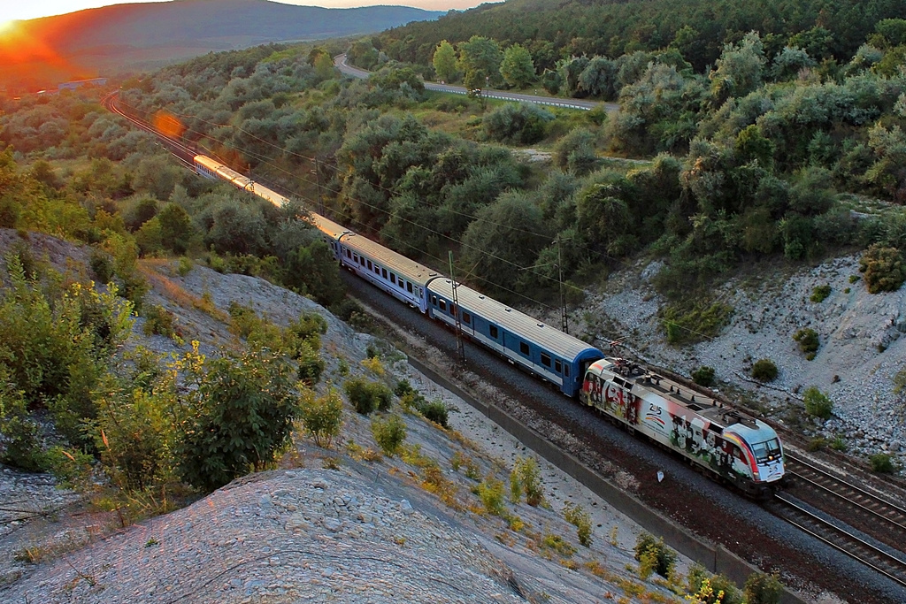 470 003 Szár (2015.08.24).