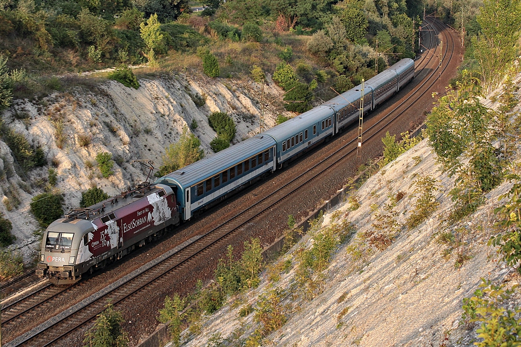 470 004 Szár (2015.08.24).02